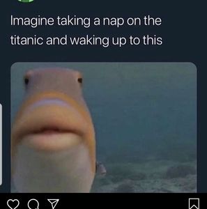 Meet your Posher, Nate